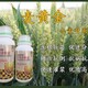 小包装胖墩麦黄金小麦叶面肥总经销,为峰肥业麦黄金产品图
