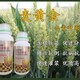 小麥葉面肥廠家批發(fā)圖