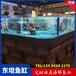 广州三组海鲜鱼缸海鲜池制冷