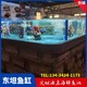 广州农林二组玻璃鱼池图