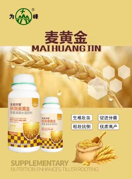 小包裝胖墩麥黃金小麥葉面肥用法用量,為峰肥業麥黃金