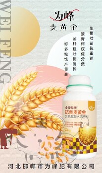 大包裝胖墩麥黃金小麥葉面肥廠(chǎng)家,小麥葉面肥麥黃金
