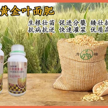小包装胖墩麦黄金小麦叶面肥用法用量,为峰肥业麦黄金