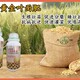 小麥葉面肥圖