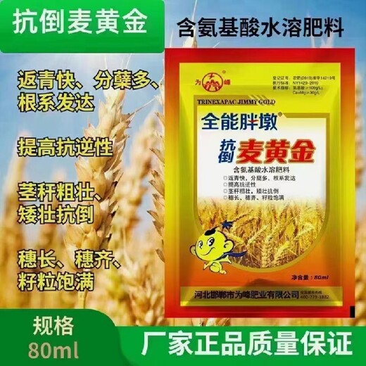 飞防用麦黄金小麦叶面肥增产多少,小麦叶面肥麦黄金
