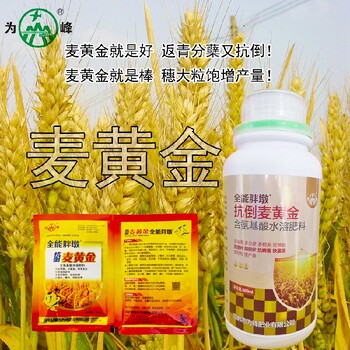 小包装麦黄金小麦叶面肥哪里买卖,小麦抗倒增产麦黄金