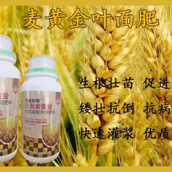 飛防用胖墩麥黃金小麥葉面肥多少錢(qián),麥黃金小麥葉面肥