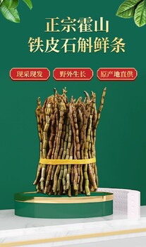宣城富硒新鮮石斛供應(yīng)商