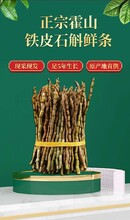 假干石斛圖片圖片