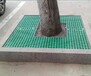 树池树坑50mm污水池玻璃钢格栅地网徐州