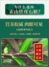 亳州富硒新鮮石斛的功效及作用圖片
