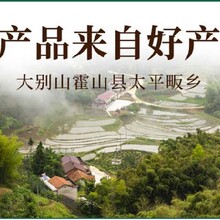 新鮮石斛煲瘦肉湯的做法圖片