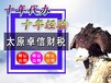 太原阳曲建筑劳务公司转让流程