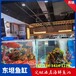 广州光塔梯形玻璃鱼池