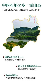 蕪湖富硒新鮮石斛供應商