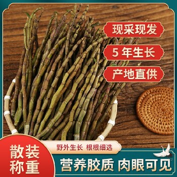 安徽富硒新鮮石斛供應(yīng)商