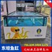 廣州pvc板海鮮魚缸海鮮池排名