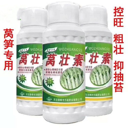 萵筍嫩直長(cháng)萵筍葉面肥萵筍增粗,為峰肥業(yè)萵苣水溶肥