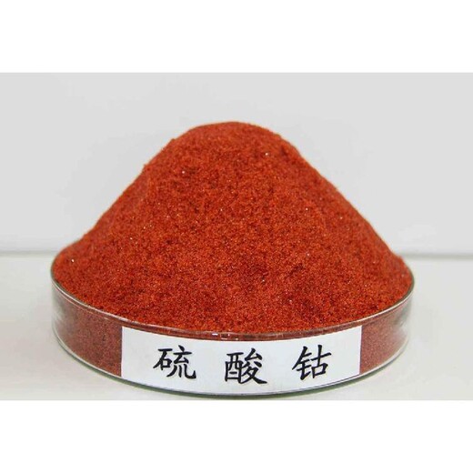 浙江寧波回收甜菜堿