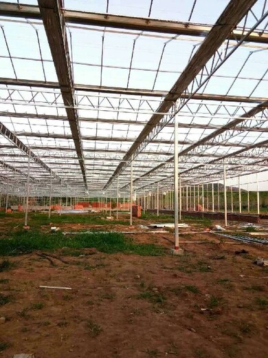 玉林玻璃纹洛温室规划建造