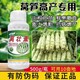 萵壯寶圖