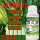 萵沃多圖