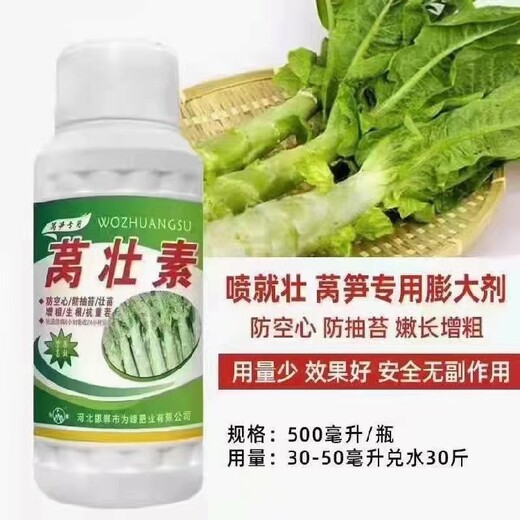 萵筍粗直長萵筍葉面肥萵筍增粗,為峰肥業(yè)萵苣水溶肥