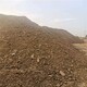 珠海風干牛糞生產商圖