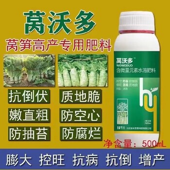 萵筍膨大萵筍葉面肥哪里買賣,萵苣不發粗怎么辦