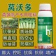 萵筍葉面肥圖
