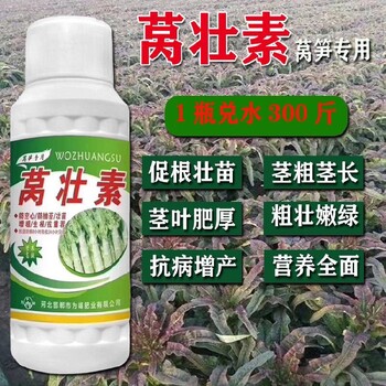 萵筍膨大萵筍葉面肥哪里買賣,萵苣不發粗怎么辦