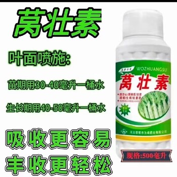 萵筍防抽苔根莖膨大萵筍葉面肥為峰肥業廠家招商沃萵多