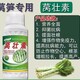 萵筍粗直長(zhǎng)萵筍葉面肥圖