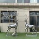 天津不锈钢鹿雕塑图