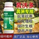 防抽苔萵筍葉面肥圖