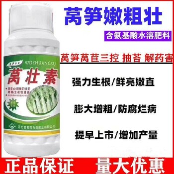 萵筍根莖膨大萵筍葉面肥招商電話為峰肥業(yè)廠家招商萵壯素