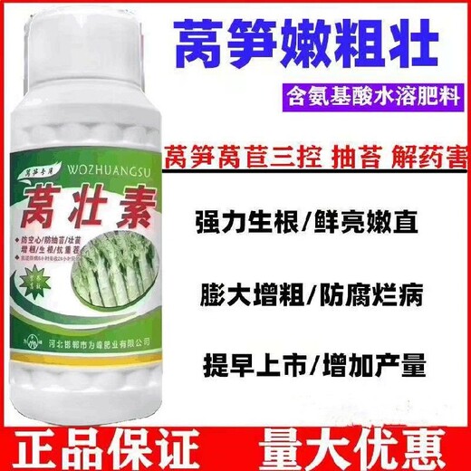 为峰肥业莴笋叶面肥莴笋增粗,莴苣不发粗怎么办