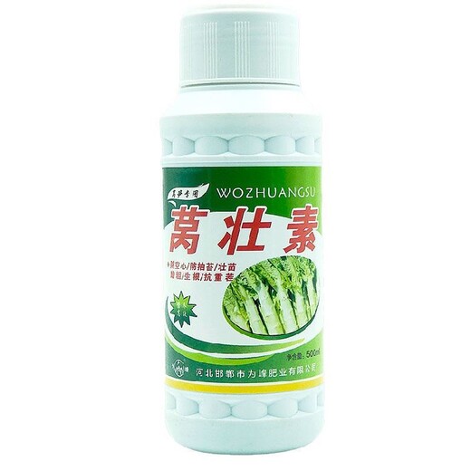 萵筍三控萵筍葉面肥用法用量,為峰肥業(yè)萵苣水溶肥