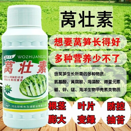 萵壯素萵筍葉面肥防裂紋功效,為峰肥業(yè)萵苣水溶肥