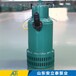 陕西1bqs系列矿用隔爆型排污排沙潜水电泵供应商