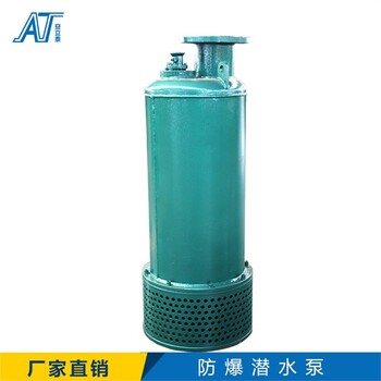白山bqs礦用隔爆型潛水排沙電泵型號