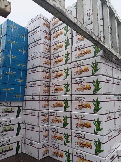 麥黃金生產(chǎn)廠家返青分蘗抗倒伏，粒多粒重增收