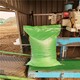 蚯蚓粪肥蚯蚓土生产商图