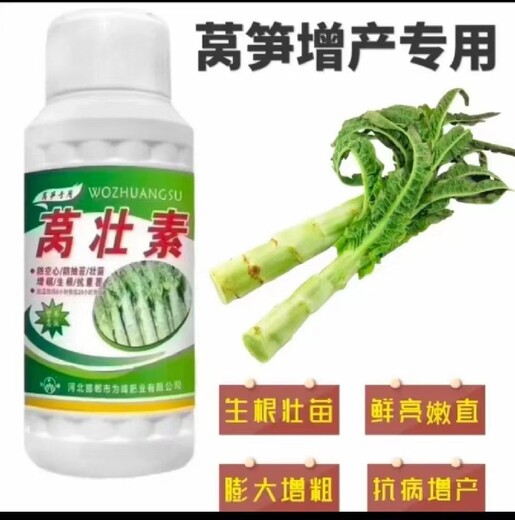 萵筍防裂萵筍葉面肥防裂紋功效,萵苣不發(fā)粗怎么辦