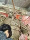 徐州佛像雕塑廠家定做圖