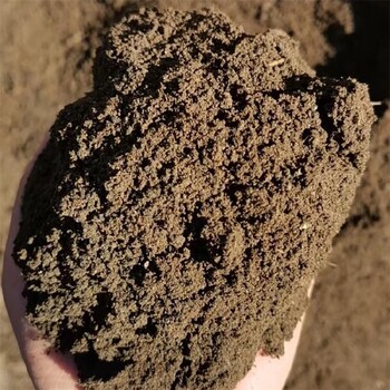 本溪发酵蚯蚓粪有机肥