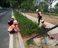 上海專業城市綠化施工團隊電話