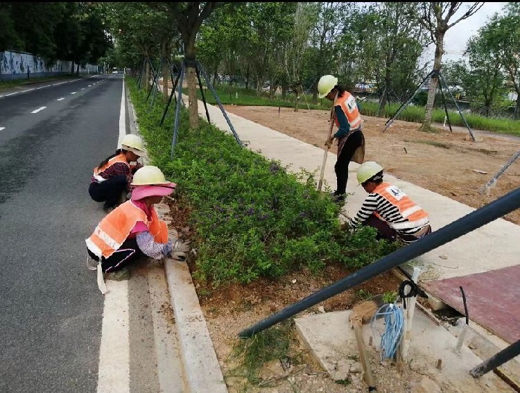 江火狐电竞苏园林绿化团队联系方式(图2)