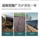 大棚防雨保溫毛氈,淋膜氈