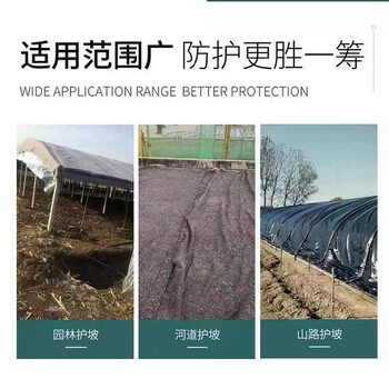 大棚防雨保溫毛氈,淋膜氈